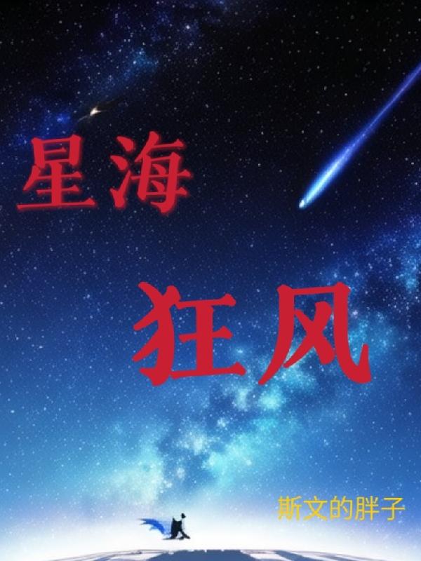 星海暴风裁决